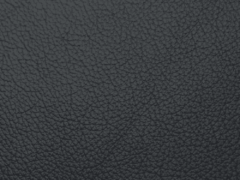 SIERRA LEATHER