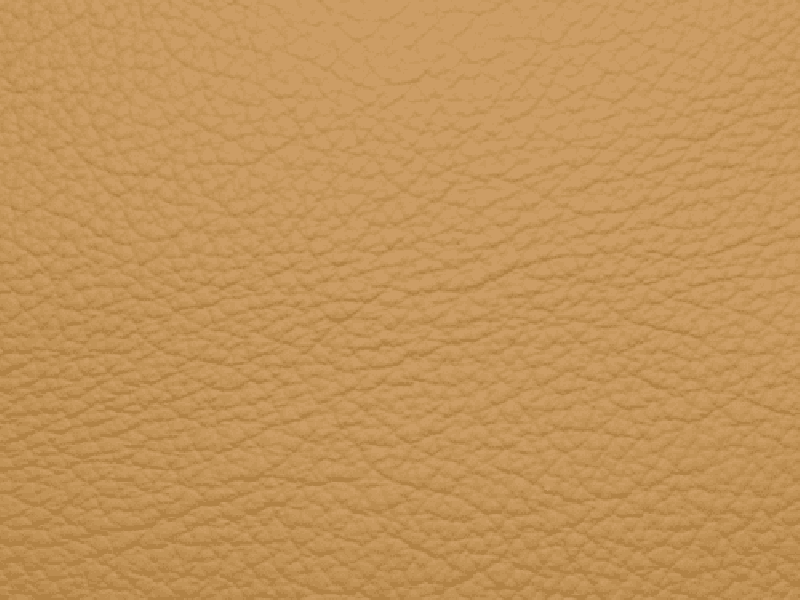 SIERRA LEATHER