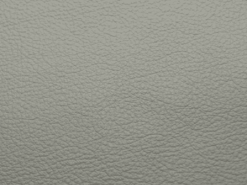 SIERRA LEATHER