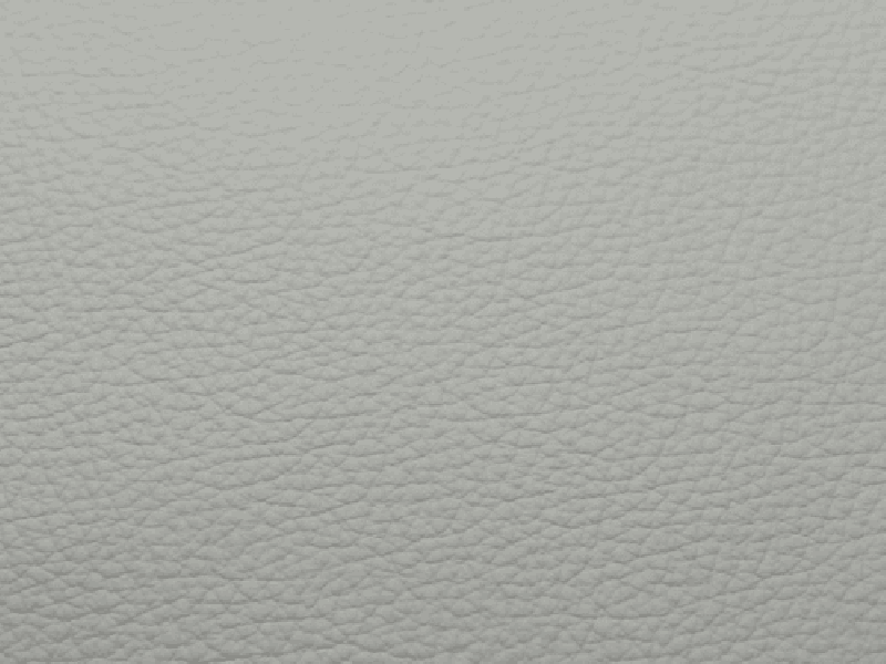 SIERRA LEATHER