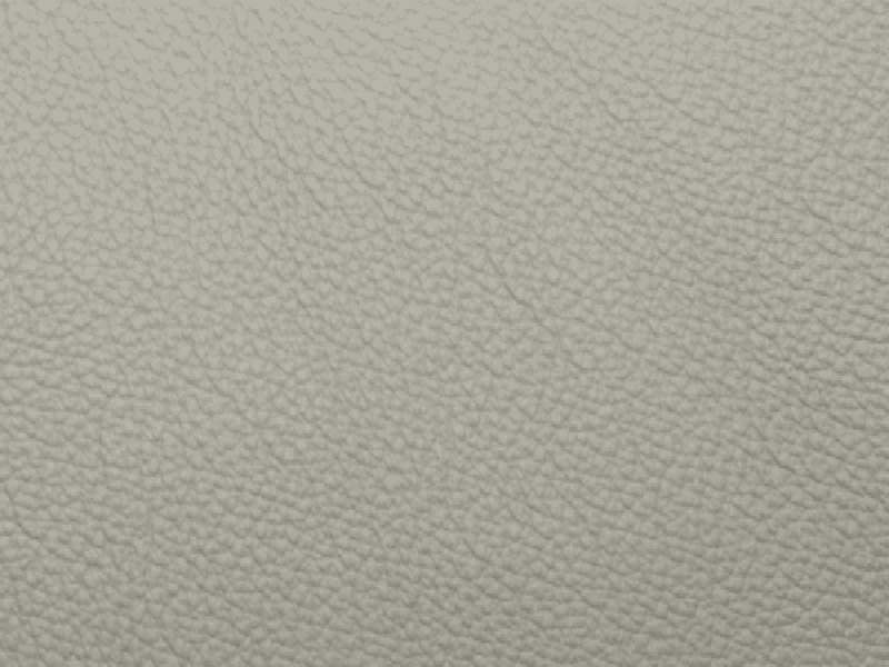 SIERRA LEATHER