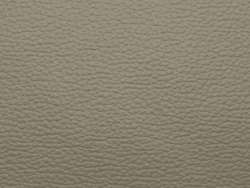 SIERRA LEATHER