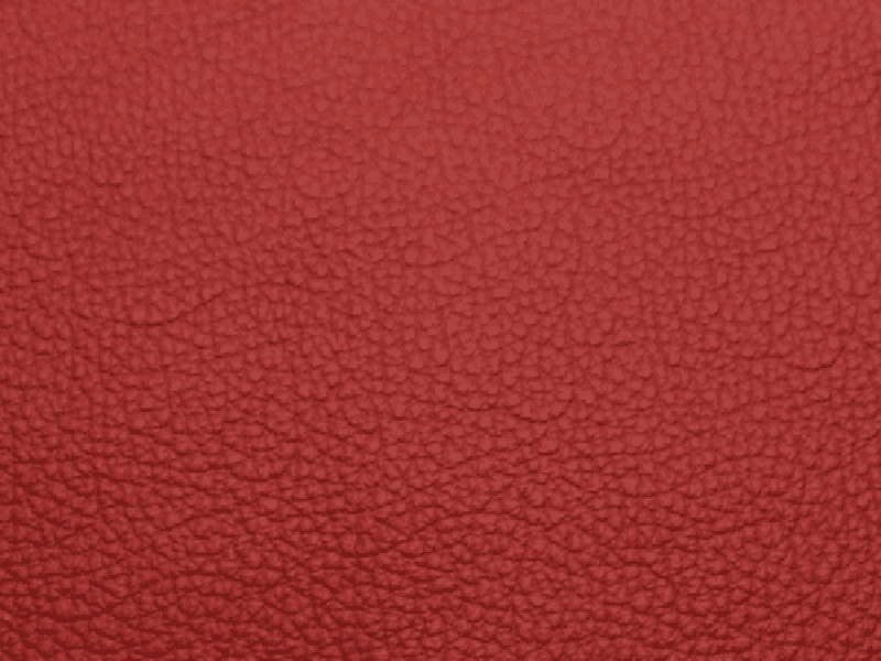 SIERRA LEATHER