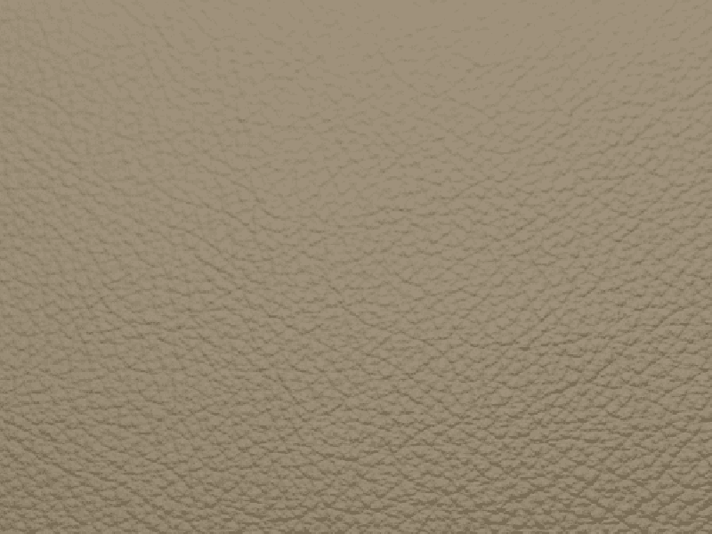 SIERRA LEATHER