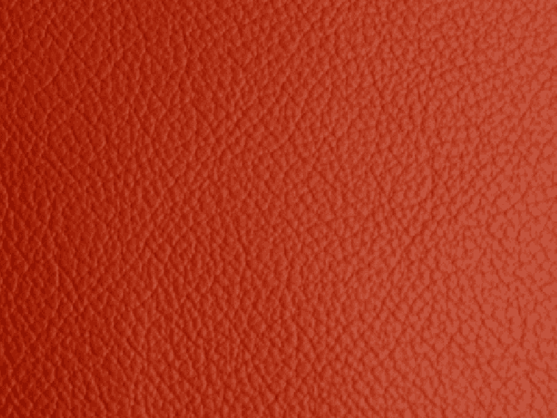 SIERRA LEATHER