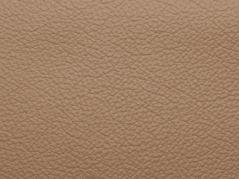 SIERRA LEATHER