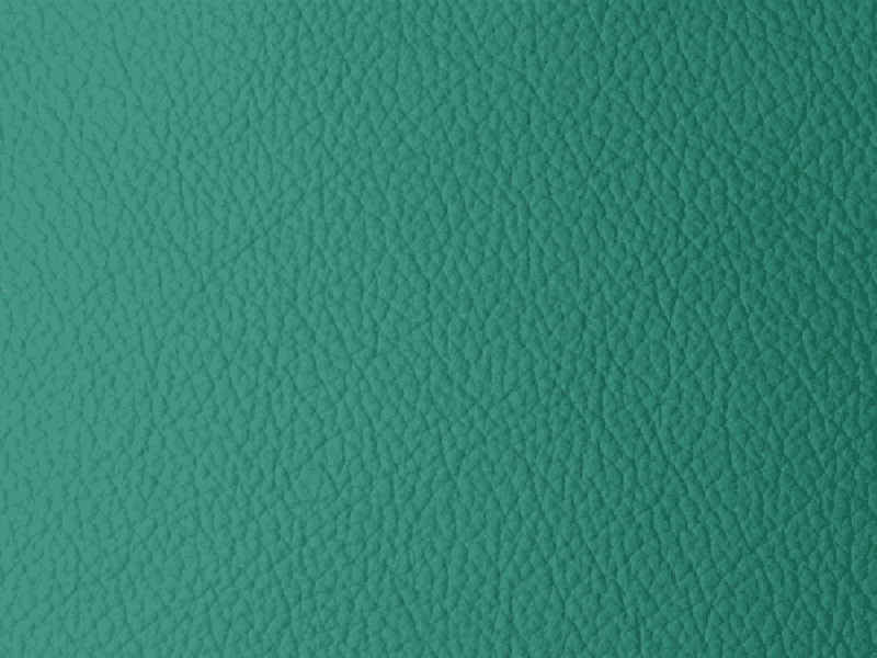 SIERRA LEATHER