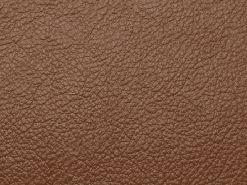 SIERRA LEATHER