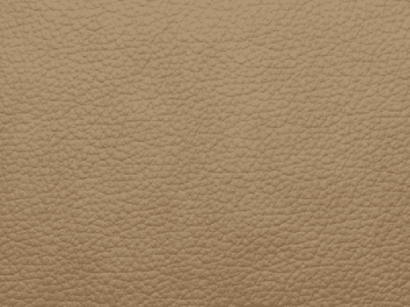 SIERRA LEATHER