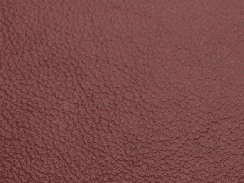 SIERRA LEATHER