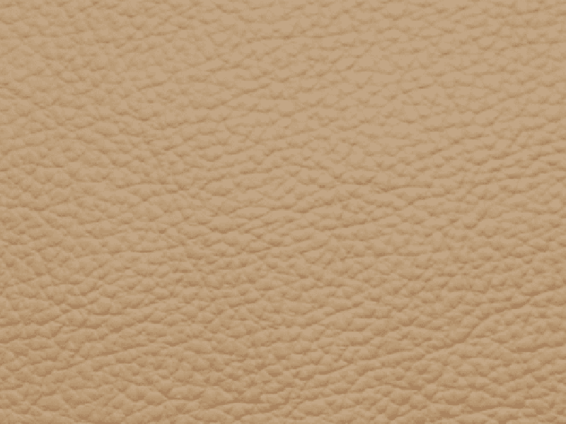 SIERRA LEATHER