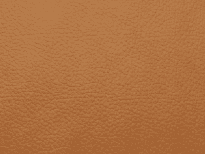 SIERRA LEATHER