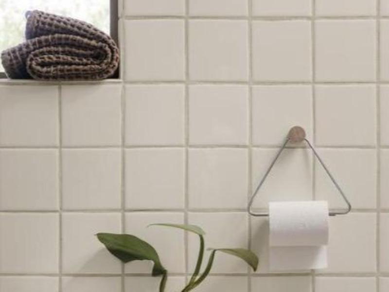 Toilet Paper Holder - Chrome FERM-100454503
