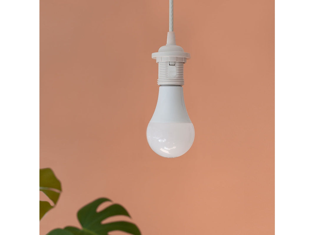 BRIGHT IDEA LED 13W | E27